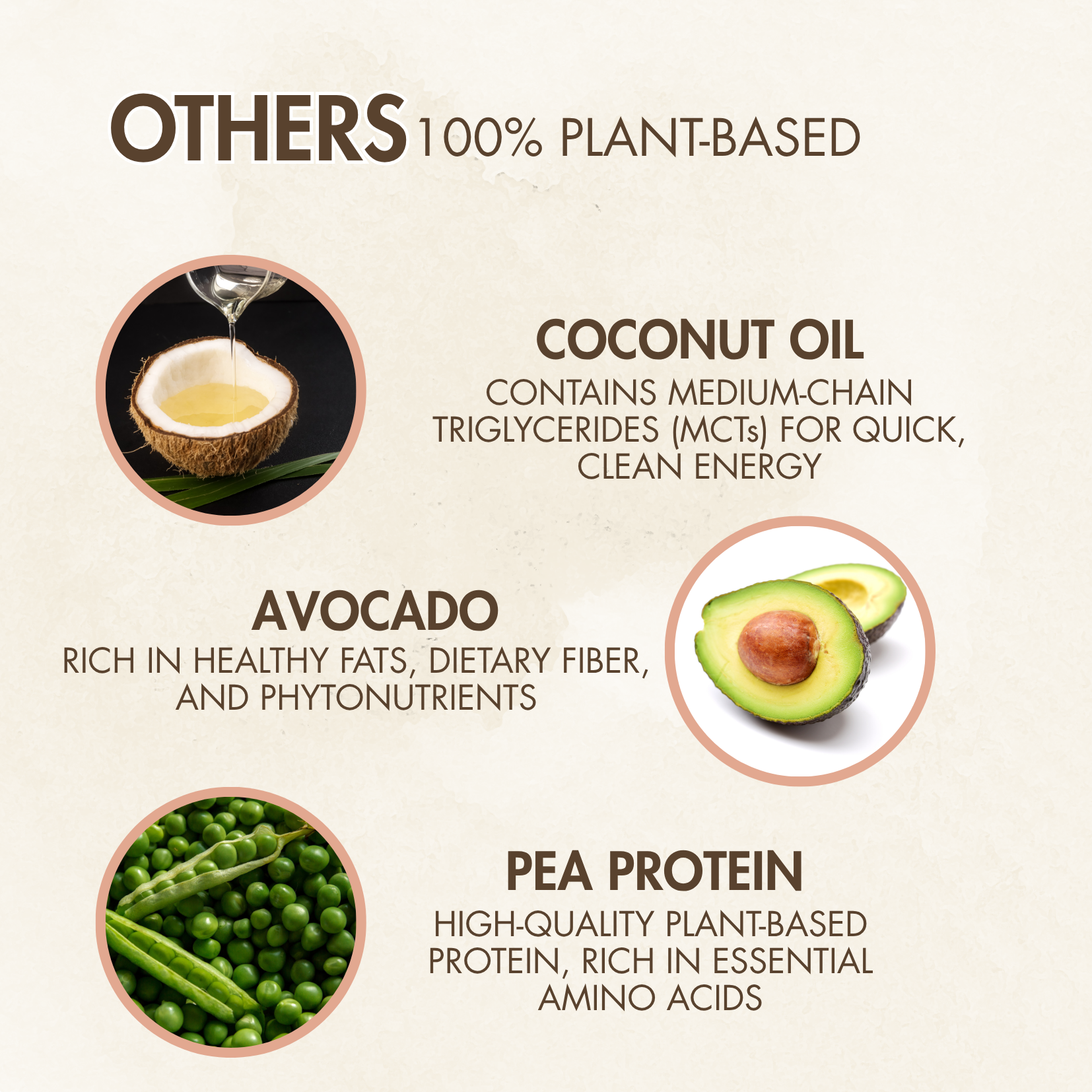 Activ-MEAL - Balanced Nutrition for Daily Glucose Stability