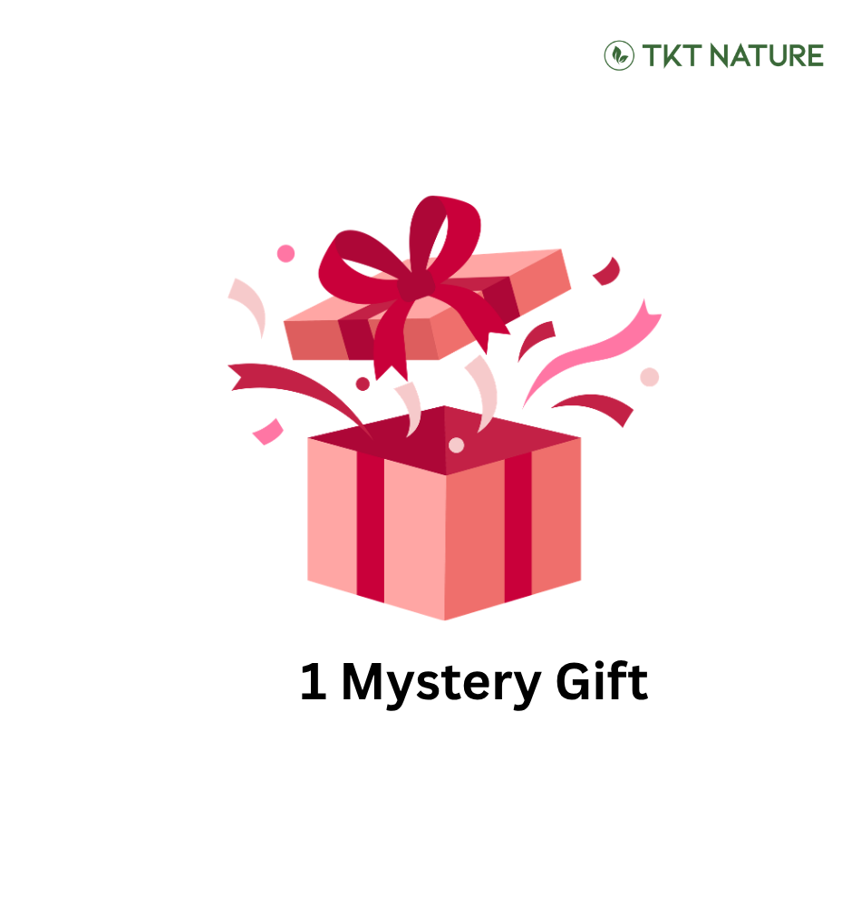 [FREE GIFT] 1 Mystery Gift